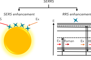 Illustration of the SERRS technique