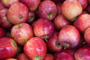 Photo of apples