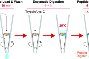 Schematic workflow of AnExSP sample preparation