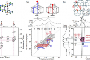 Examples of NMR spectra of zeolites