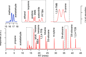 Chromatogram of PRM 0819 showing separation of compounds in the GC-FID/MS