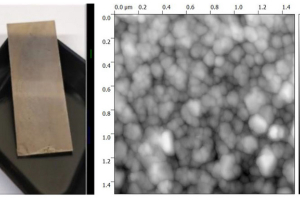 Image of the SERS substrate