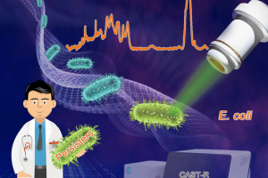 Diagram showing how Raman spectroscopy identifies E. coli persisters at the single-cell level