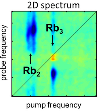 2D-spectroscopy illustrates the light-induced reactions of Rubidium molecules in various colour spectra. Credit: Lukas Bruder