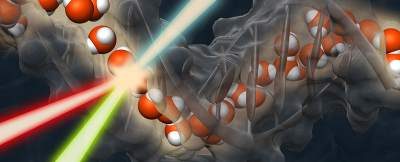 An illustration of what chiral non-linear spectroscopy reveals: that DNA is surrounded by a chiral water super-structure, forming a “spine of hydration”. Credit: Poul Petersen, Cornell University