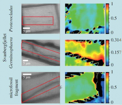 Light microscopy images (left) indicating the position of the microfossils (red boxes) and synchrotron-based IR maps (right) showing the compositional variation of the clay around the fossil (as ratio of 3694 cm–1 band vs the M–OH region). Data taken at MIRIAM beamline B22 at Diamond. Picture credit: Diamond Light Source