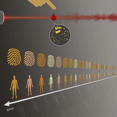 Blood panels are as individual as fingerprints. Researchers from the attoworld team at LMU and MPQ have now investigated how stable this so-called molecular fingerprint of the blood is over time.