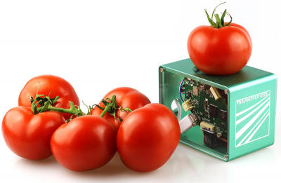 A compact food scanner based on NIR spectroscopy will help avoid unnecessary food waste. © Fraunhofer IOSB