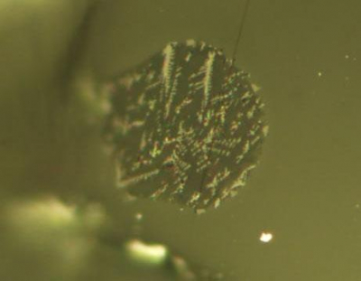 Melt inclusions are tiny dots of magma frozen within olivine crystals. The crystals lock in volatile elements that may have otherwise escaped from the magma. Researchers have shown that melt inclusions within volcanic glasses from the Moon contain carbon. They conclude that gas-phase carbon likely drive the “fire fountain” eruptions the produced the glass. Image: Saal lab/Brown University Photomicrograph of the melt inclusions