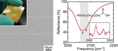Researchers at Okayama University have created a new IR spectroscopic technique utilising the properties of a metamaterial-based absorber to enhance spectral output. Trials on a self-assembling monolayer of 16-MHDA acid showed distinct peaks corresponding to carbon–hydrogen stretching in the monolayer.