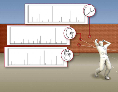 Schematic show bullets fired through different parts of a body and the mass spectra from them. Graphic: Journal of Proteome Research