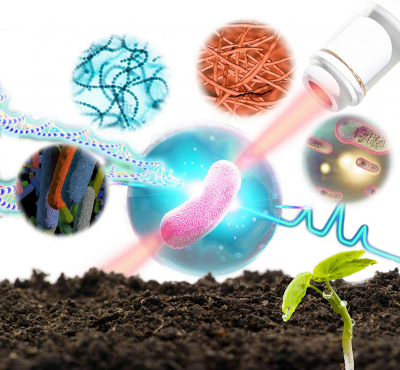 A technique to sort and sequence the genome of bacteria in soil one bacterial cell at a time. Credit: Liu Yang