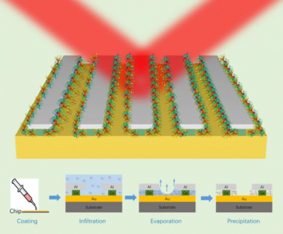 Top: schematic of the optical sensor design with trapped molecules. Bottom: schematic showing the process of concentrating and trapping molecules in a solution. Credit: Xianglong Miao, Lingyue Yan, Yun Wu and Peter Q. Liu