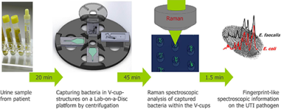 Schematic of the workflow of the Lab-on-a-Disc device