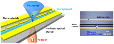 Schematic diagram and photograph of the newly developed terahertz biochemical chip