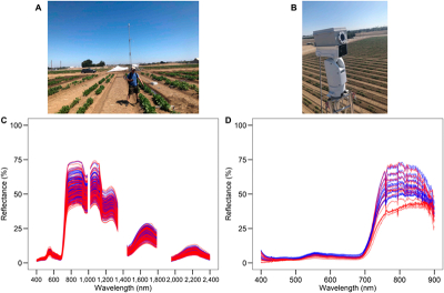 Photos and spectra from the experimental setup