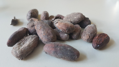 Photo of cocoa beans