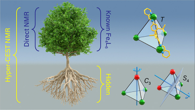 Visualisation of Hyper-CEST to reveal two previously “hidden” structures of metal-organic cages.