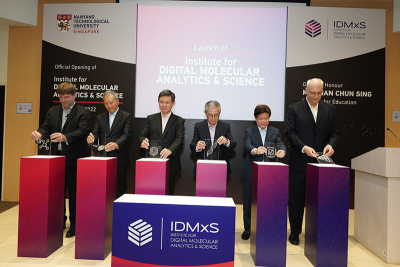 Photo of the opening of IDMxS