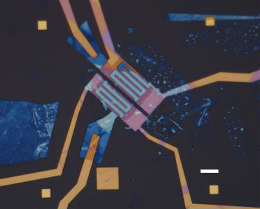 An optical micrograph of two typical on-chip spectrometers. Scale bar: 8 µm