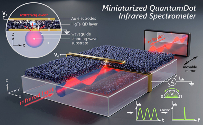 This is how the IR spectrometer works: the photodetector, fabricated on top of a surface optical waveguide, consists of a bottom gold electrode at the bottom functioning as a scattering centre, a photoactive layer (consisting of colloidal mercury telluride (HgTe) quantum dots) and a top gold electrode. By moving the mirror, the measured photocurrent maps the light intensity of the standing wave. i.e. the IR light. A Fourier transformation of the measured signal gives the optical spectra. Image: Lars Lüder Illustration of how the IR spectrometer works