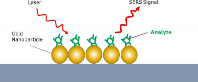 Schematic of the Nikalyte gold nanoparticle SERS substrate