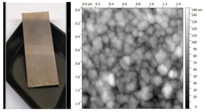 Image of the SERS substrate