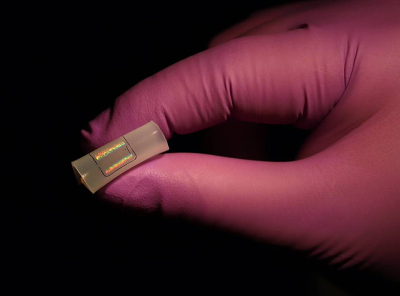 The new COVID-19 sensor. Credit: Kam Sang Kwok and Aishwarya Pantula / Johns Hopkins University Photo of the SERS sensor held between gloved fingers.