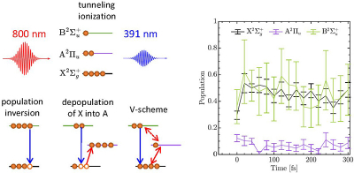 Level scheme showing the electronic X, A and B states of N2+. Standard tunnelling ionisation by the 800 nm pump pulse cannot induce a population inversion between the X and B states, necessary for lasing at the B → X transition at 391 nm, shown by blue arrows. Population inversion may occur when the X state gets depopulated by rapid transfer to the A state, as shown with the red arrow. Another possibility is the simultaneous coupling of the 800 nm and 391 nm light fields coupling the three electronic states in a V-level scheme, for which lasing can occur with population inversion. Ultrafast nitrogen K-edge spectroscopy upon strong field ionisation of molecular nitrogen, where the transient population of the X and B states are found to be of similar magnitude while that of the A state remains minor, strongly points to the occurrence of the V-level scheme mechanism. Copyright: MBI / E.T.J. Nibbering / C. Kleine Diagram showing the electronic X, A and B states of N2+ and transitions.