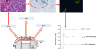 Overview of the study. Credit: Diamond Light Source