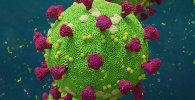 Drawing of COVID-19 virus