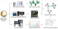 Diagram showing the integrated approach for drug discovery