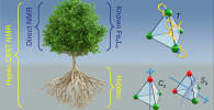 Visualisation of Hyper-CEST to reveal two previously “hidden” structures of metal-organic cages.