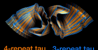 Drawing of the two types of tau protein