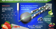 Conceptual diagram of high-throughput analysis for anthocyanins in horticultural crops using PESI/MS/MS