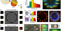 Complex diagram showing multispectral and polarised imaging using the SPMM with ordinary white light beams.