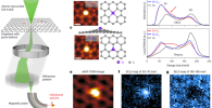 Vibrational spectroscopy of substitutional Si impurities in graphene