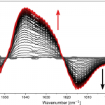 Time Resolved difference IR spectra