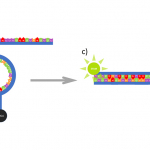 Diagram of the reaction between a molecular beacon and cDNA