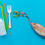 Photo of sources of microplastics and a fish on a blue background