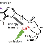 Diagram of the reaction