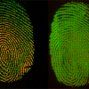 Images of fingerprints showing the change in distribution of palmitic acid and the more immobile waxy residue.