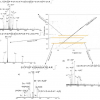 A 2DMS spectrum