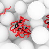 Depiction of the state of the protein α-synuclein in living, healthy cells. Credit: Philipp Selenko