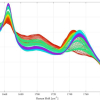 Spectra from the analysis