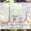 Raman spectra overlayed on photos of grapes and a bottle of Pisco