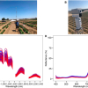 Photos and spectra from the experimental setup