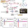 An optical setup for the transient Kerr rotation measurement