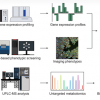 Diagram showing the integrated approach for drug discovery