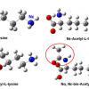 Diagram of the different acetylation states